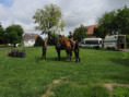 /album/fotogaleria-jazdecka-policia-26-5-2025/img-5512-jpg/
